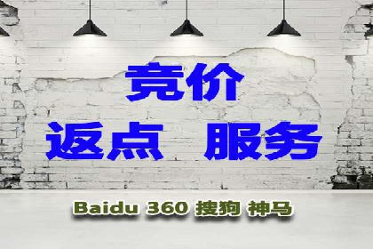 搜索引擎营销（SEM）的未来趋势与案例分析